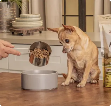 Superfood Complete | Lamb & Venison Air-Dried Dog Food
