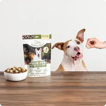 Superfood Nuggets - Beef Tripe & Kale - Badlands Ranch